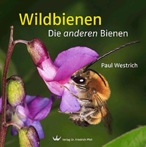 Wild bees - Book with plenty fantastic photos