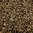 Small population of Osmia bicornis, 100 cocoons