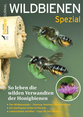 Wildbienen Spezial-Heft